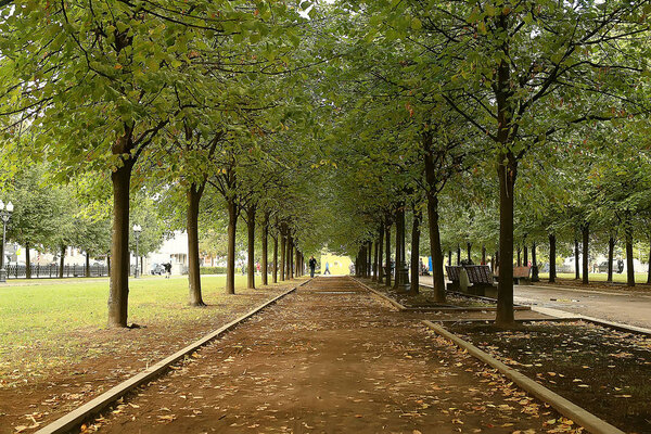 path autumn park / autumn landscape, yellow park in autumn trees and leaves, a beautiful sunny day in the city park. the fall