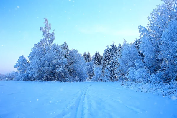 Χειμερινό Πάρκο Αστικό Τοπίο Στο Χειμερινό Καιρό Χιόνι Τοπίο Πόλη — Φωτογραφία Αρχείου