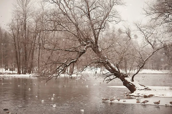 Astratto Sfondo Paesaggio Inverno Foresta Gelo Coperto Rami Albero Nevoso — Foto Stock