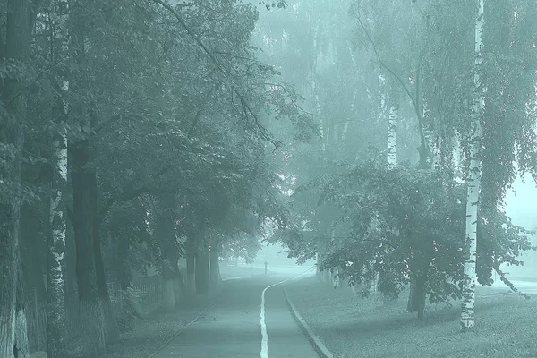 Őszi Táj Reggel Ködben Sikátorban Városi Parkban Ködös Táj Városban — Stock Fotó