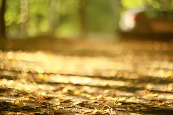 Weg Herbstpark Herbstlandschaft Gelber Park Herbstbäumen Und Blättern Ein Schöner — Stockfoto