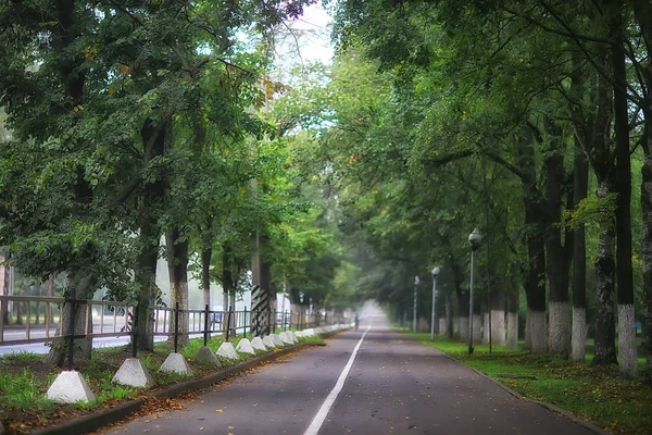 街の公園の霧 路地で秋の風景の朝 市内の霧の風景 市内の木々 — ストック写真