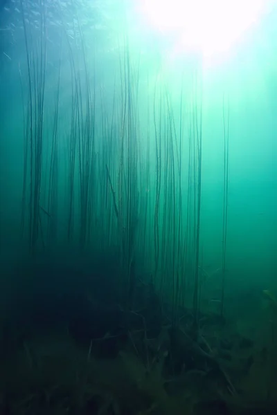 Λίμνη Φόντο Νερό Υποβρύχια Αφηρημένο Φρέσκο Νερό Κατάδυση Φόντο Φύση — Φωτογραφία Αρχείου