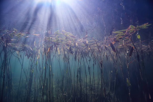Lake underwater landscape abstract / blue transparent water, eco nature protection underwater