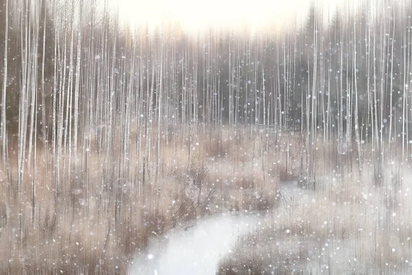 Лісовий Сніг Розмитий Фон Зимовий Пейзаж Засніжений Ліс Дерева Гілки — стокове фото