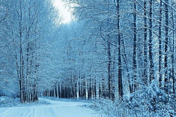 Parque Inverno Paisagem Urbana Inverno Tempo Paisagem Neve Cidade Árvores — Fotografia de Stock