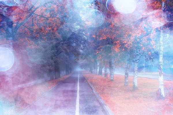 Outono Paisagem Manhã Nevoeiro Beco Parque Cidade Paisagem Nebulosa Cidade — Fotografia de Stock