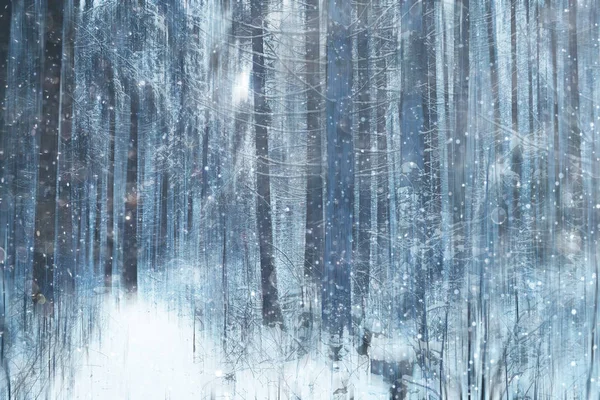 Foresta Neve Sfocata Sfondo Paesaggio Invernale Foresta Innevata Alberi Rami — Foto Stock