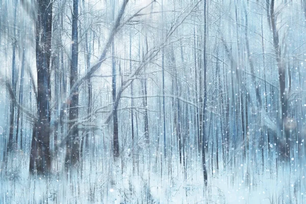 Δάσος Χιόνι Θαμπό Φόντο Χειμερινό Τοπίο Χιόνι Καλυμμένο Δάσος Δέντρα — Φωτογραφία Αρχείου