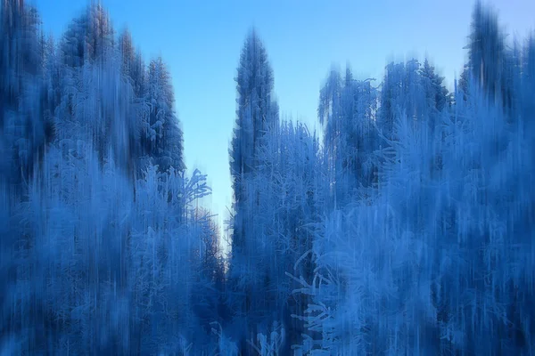 Abstract Forest Blurred Winter Vertical Lines Winter Forest Background Abstract — Stock Photo, Image