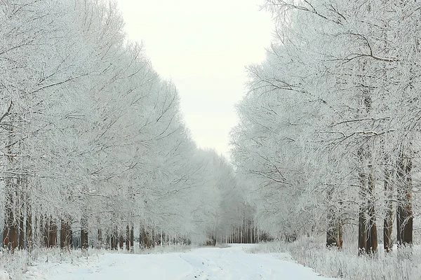 Kış Parkı Kış Havalarda Cityscape Manzara Kar Şehir Kuzeyde Bir — Stok fotoğraf