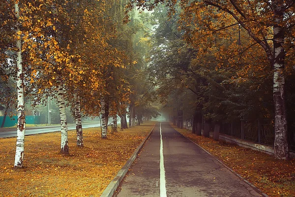 街の公園の霧 路地で秋の風景の朝 市内の霧の風景 市内の木々 — ストック写真