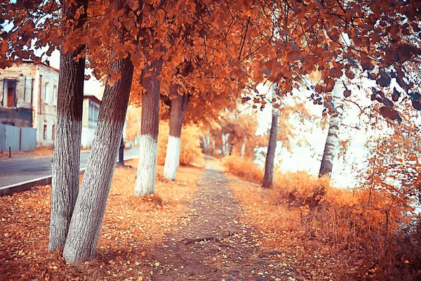 パス秋の公園 秋の風景 秋の木々や葉の黄色い公園 市の公園で美しい晴れた日 — ストック写真
