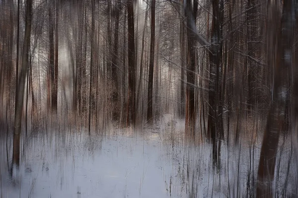 Astratto Foresta Offuscata Inverno Linee Verticali Inverno Sfondo Foresta Paesaggio — Foto Stock