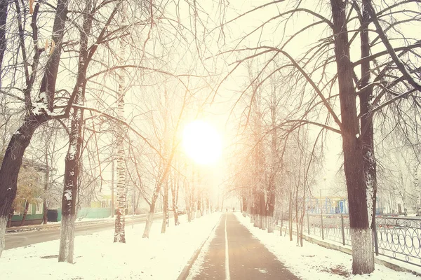 Tramonto Nella Foresta Invernale Febbraio Tramonto Nel Parco Foresta Neve — Foto Stock