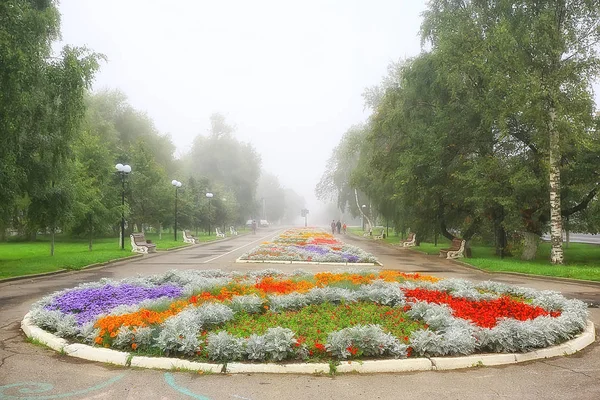 Цветочные Клумбы Городской Парк Красивые Яркие Городские Цветы Ландшафте Городской — стоковое фото