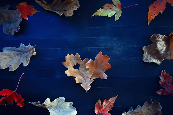 Höst Hjärta Gul Blad Hjärta Symbol Höst Dekoration Koncept Höst — Stockfoto