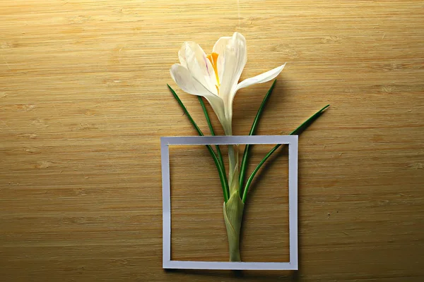 Quadro Croco Branco Flores Primavera Fundo Abstrato — Fotografia de Stock