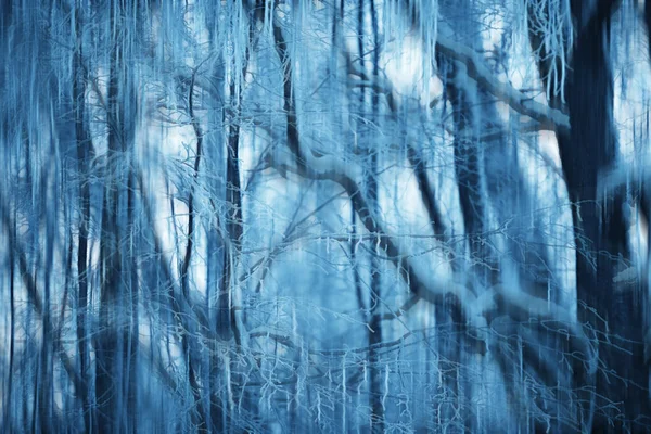 Abstract Forest Blurred Winter Vertical Lines Winter Forest Background Abstract — Stock Photo, Image