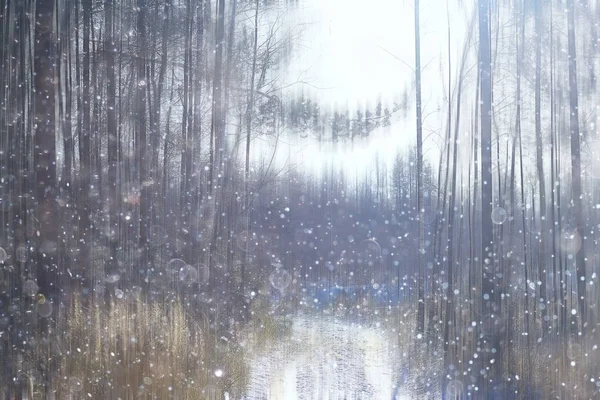 Forest Snow Blurred Background Winter Landscape Snow Covered Forest Trees — Stock Photo, Image