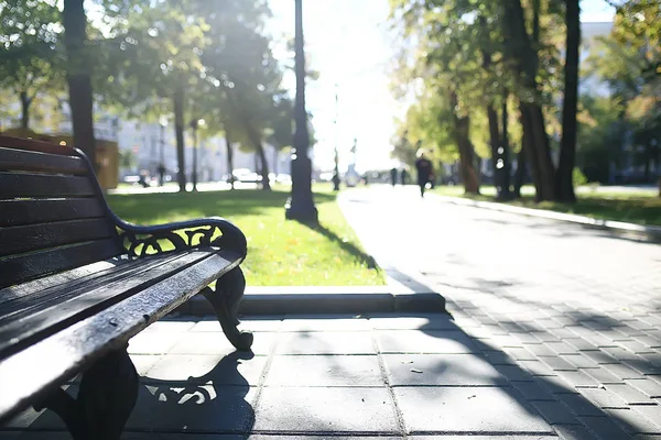 Paisaje Banco Del Parque Del Otoño Banco Hermoso Del Jardín — Foto de Stock