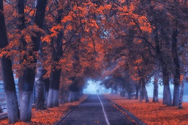 Otoño Paisaje Mañana Niebla Callejón Parque Ciudad Paisaje Brumoso Ciudad —  Fotos de Stock