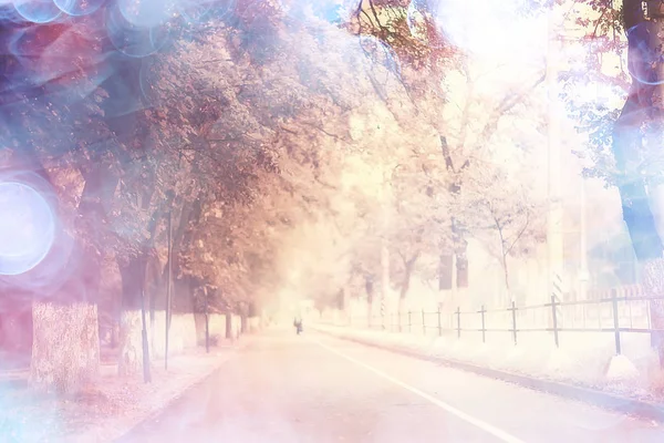 Őszi Táj Reggel Ködben Sikátorban Városi Parkban Ködös Táj Városban — Stock Fotó