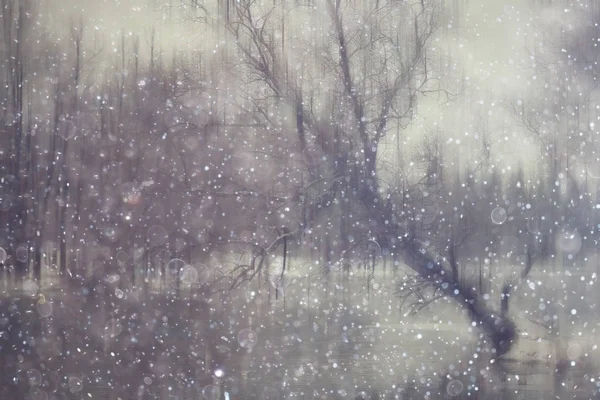 Foresta Neve Sfocata Sfondo Paesaggio Invernale Foresta Innevata Alberi Rami — Foto Stock