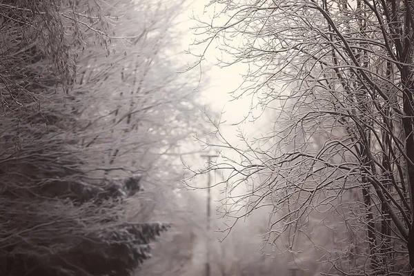 Abstracte Achtergrond Landschap Winter Bos Vorst Bedekte Boomtakken Snowy Weer — Stockfoto