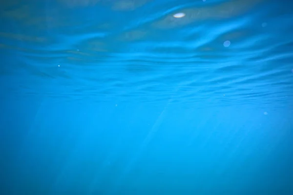 湖背景水水抽象 淡水潜水背景自然水下生态系统背景 — 图库照片
