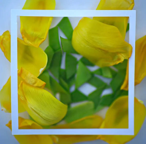 Gele Bloemblaadjes Achtergrond Abstracte Achtergrond Lentebloem Blaadjes Frame — Stockfoto