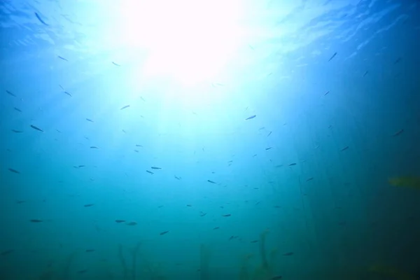 Meer Wasser Blauer Hintergrund Unterwasserstrahlen Sonne Abstrakt Blauer Hintergrund Natur — Stockfoto