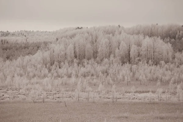 Paisaje Invernal Bosque Clima Nevado Enero Hermoso Paisaje Bosque Nevado —  Fotos de Stock