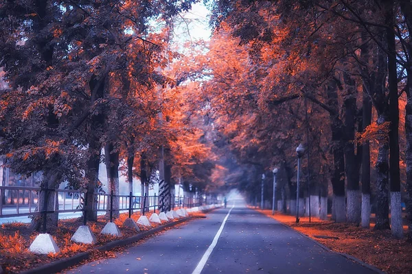 Autunno Paesaggio Mattina Nella Nebbia Vicolo Nel Parco Cittadino Paesaggio — Foto Stock