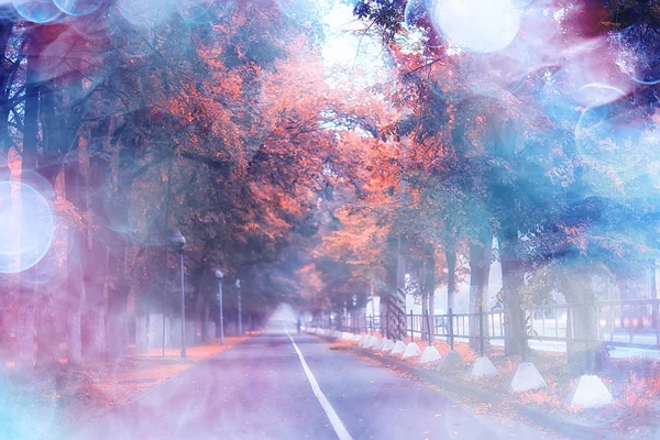 Autunno Paesaggio Mattina Nella Nebbia Vicolo Nel Parco Cittadino Paesaggio — Foto Stock