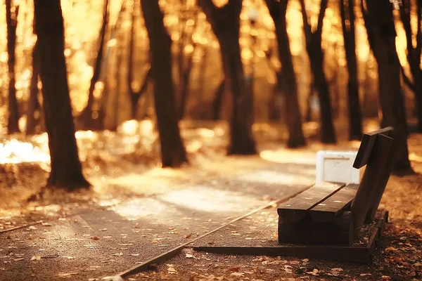 Paisagem Banco Parque Outono Banco Bonito Jardim Conceito Descanso Ninguém — Fotografia de Stock