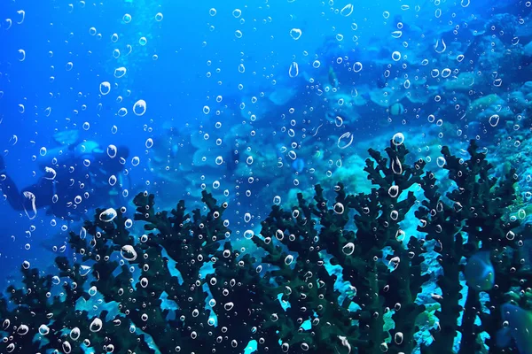 Hintergrund Unterwasserluft Blasen Riff Abstrakte Meereshintergrund Tauchen Natur Ozean — Stockfoto