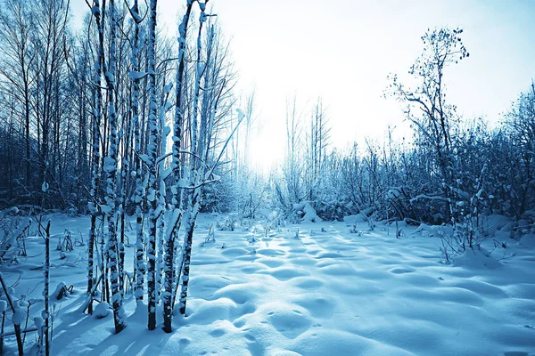 Paisagem Inverno Floresta Clima Nevado Janeiro Bela Paisagem Floresta Nevada — Fotografia de Stock