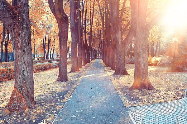 Camino Otoño Parque Otoño Paisaje Parque Amarillo Árboles Hojas Otoño —  Fotos de Stock