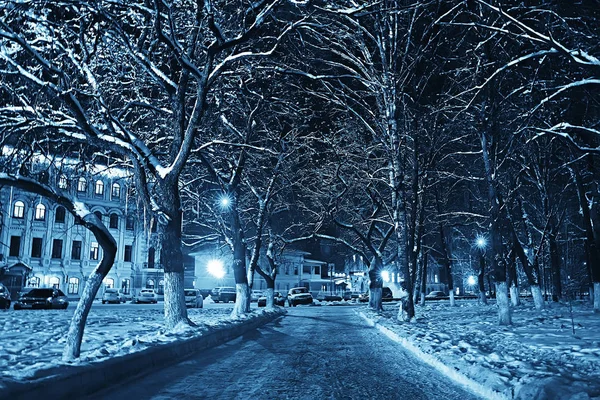 Night City Winter Landscape January City Lights Decorated Holidays Trees — Stock Photo, Image