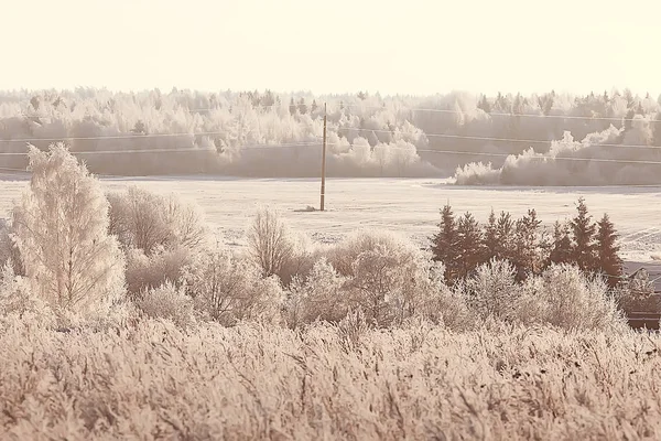 Winter Russischen Dorf Winterlandschaft Wald Russland Schneebedeckte Bäume Der Provinz — Stockfoto
