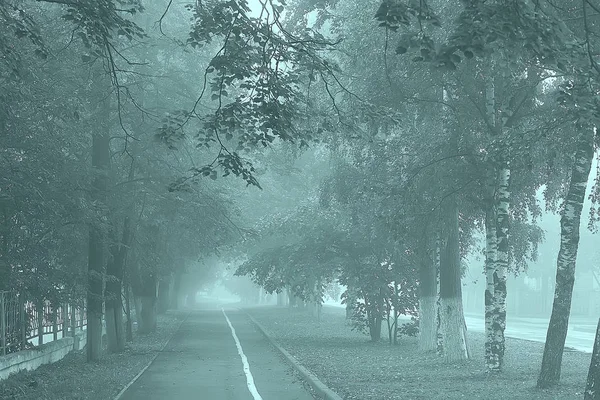 Otoño Paisaje Mañana Niebla Callejón Parque Ciudad Paisaje Brumoso Ciudad —  Fotos de Stock