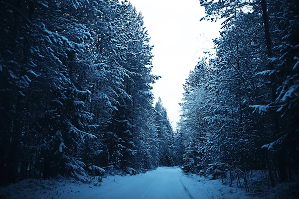 Paesaggio Invernale Nella Foresta Tempo Nevoso Gennaio Bellissimo Paesaggio Nella — Foto Stock