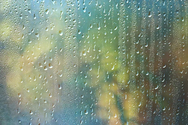 Spring Day Park View Spring Landscape Park Window Raindrops Glass — Stock Photo, Image