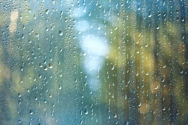 公園で春の日 窓を通して公園内の春の風景のビュー ガラス上の雨滴 — ストック写真