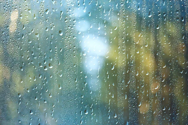 Spring Day Park View Spring Landscape Park Window Raindrops Glass — Stock Photo, Image