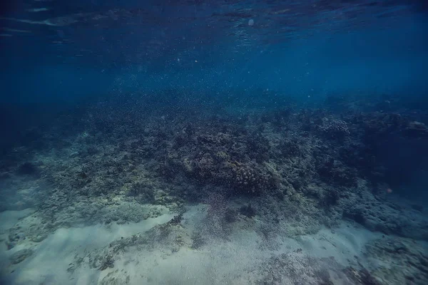 Cena Subaquática Recife Coral Mundo Oceano Paisagem Vida Selvagem — Fotografia de Stock