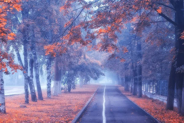 Otoño Paisaje Mañana Niebla Callejón Parque Ciudad Paisaje Brumoso Ciudad — Foto de Stock