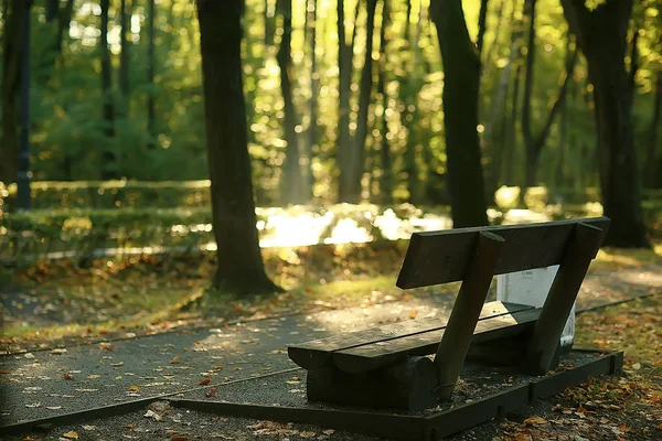 Paisagem Banco Parque Outono Banco Bonito Jardim Conceito Descanso Ninguém — Fotografia de Stock