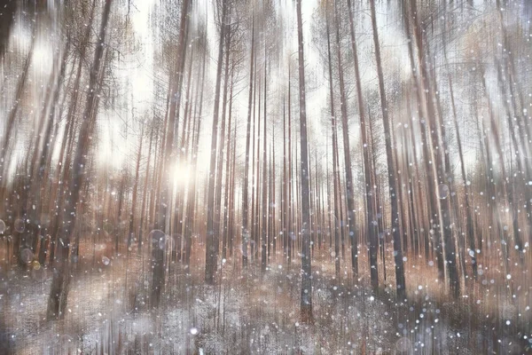 Foresta Neve Sfocata Sfondo Paesaggio Invernale Foresta Innevata Alberi Rami — Foto Stock